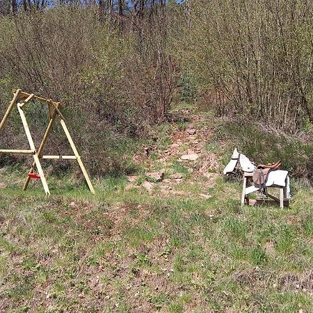 Ferienwohnung Sonnenhang Rudenau Eksteriør billede